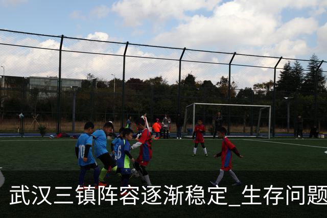 武汉三镇阵容逐渐稳定 生存问题基本得到解决